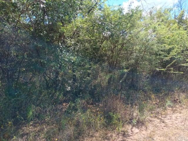 Vacant Land / Plot in Bela For Sale