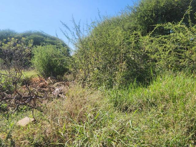 Vacant Land / Plot in Bendor For Sale