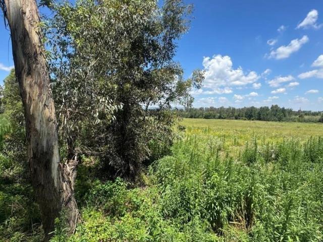 Vacant Land / Plot in Blue Saddle Ranches For Sale