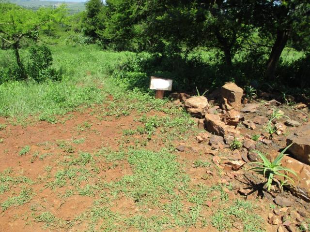 Vacant Land / Plot in Camperdown For Sale