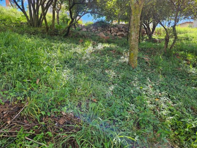 Vacant Land / Plot in Cashan For Sale