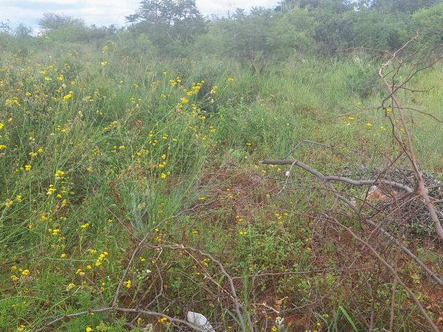 Vacant Land / Plot in Chroompark For Sale