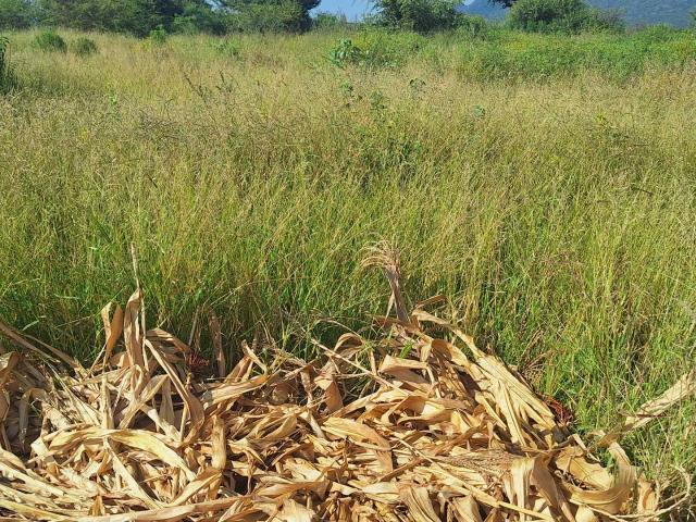 Vacant Land / Plot in Chroompark For Sale