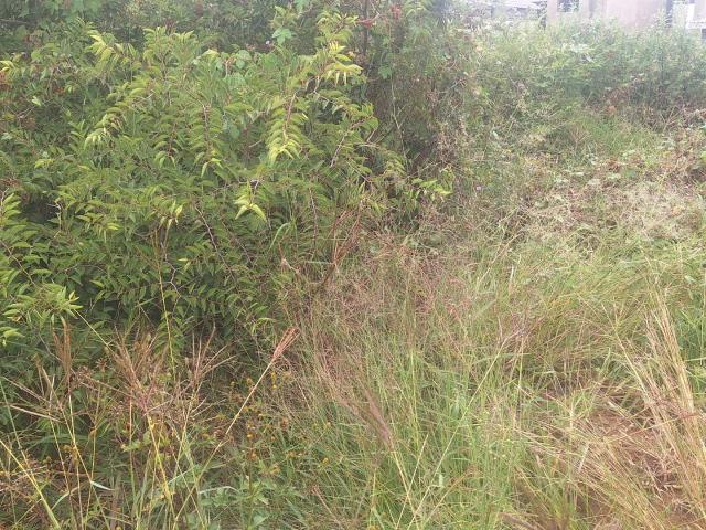 Vacant Land / Plot in Chroompark For Sale