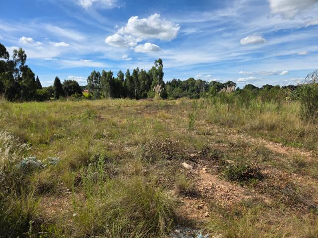 Vacant Land / Plot in Dullstroom For Sale