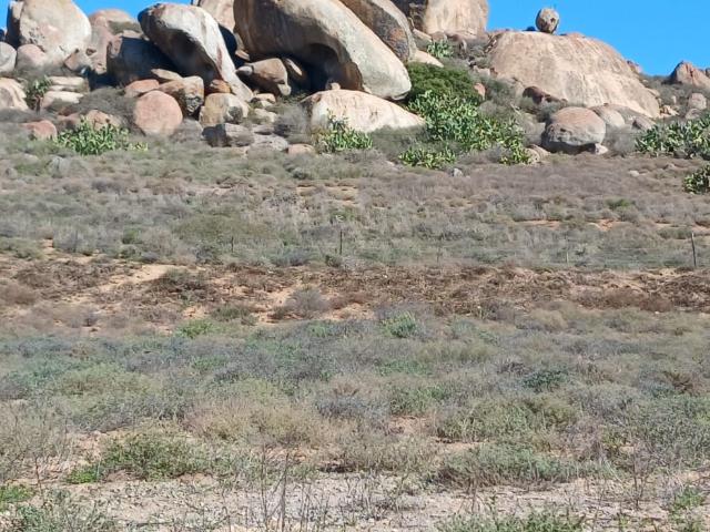 Vacant Land / Plot in Da Gama Bay For Sale