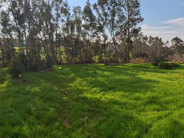 Vacant Land / Plot in Dalsig For Sale