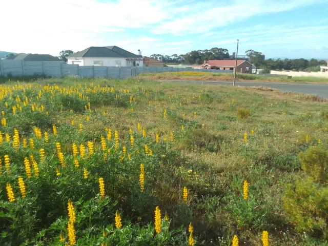 Vacant Land / Plot in Darling For Sale
