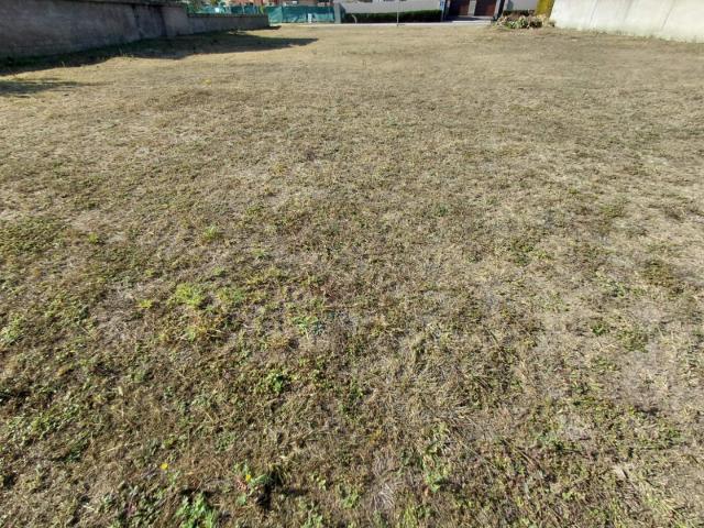 Vacant Land / Plot in Debron For Sale