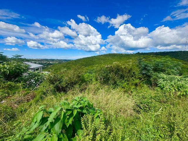 Vacant Land / Plot in Dorchester Heights For Sale