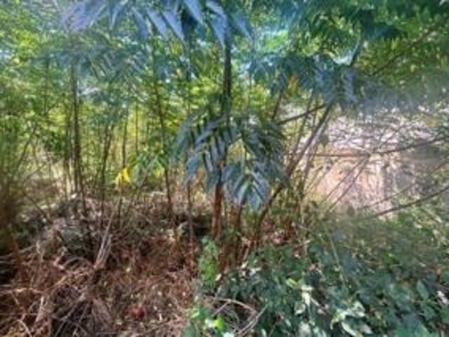 Vacant Land / Plot in East Lynne For Sale