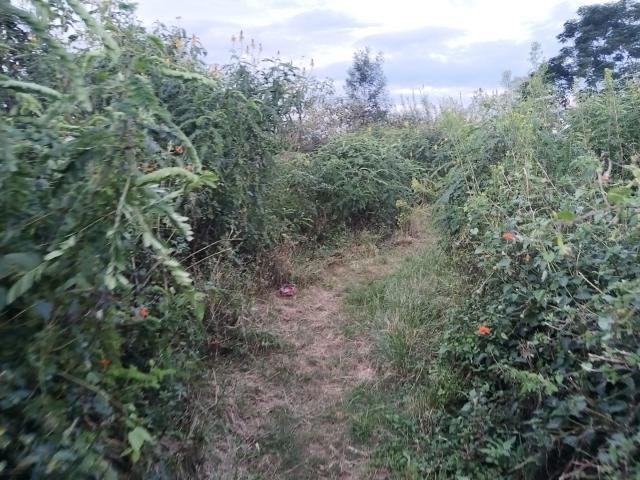 Vacant Land / Plot in Edendale For Sale