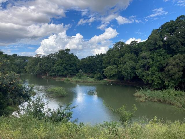 Vacant Land / Plot in Elephant Rock Eco Estate For Sale