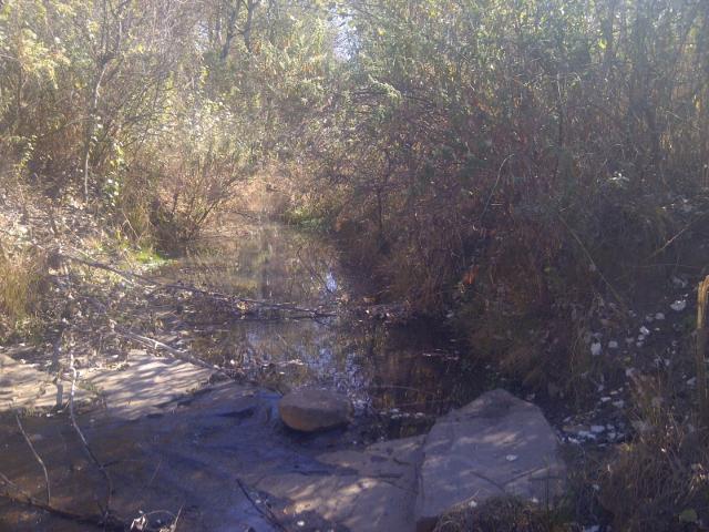 Vacant Land / Plot in Fochville For Sale