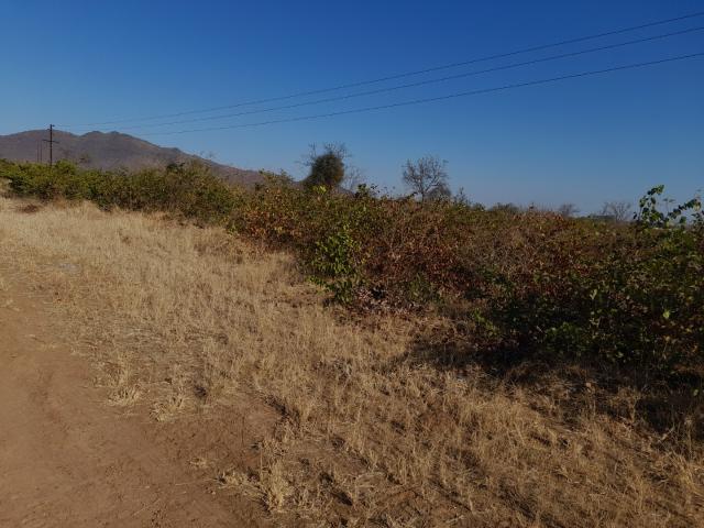 Vacant Land / Plot in Giyani For Sale