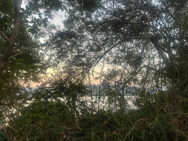 Vacant Land / Plot in Haenertsburg For Sale