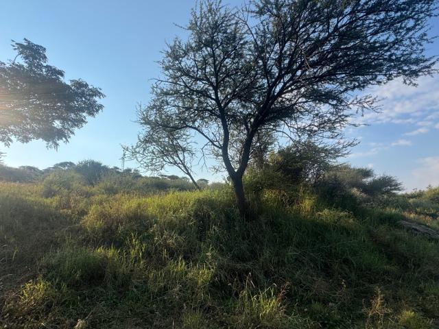 Vacant Land / Plot in Hartswater For Sale