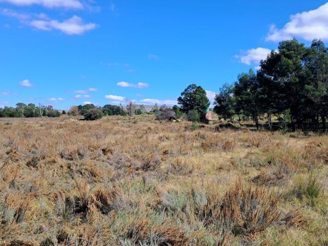Vacant Land / Plot in Heidelberg AH For Sale