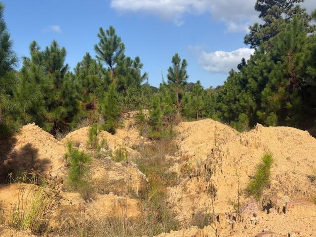 Vacant Land / Plot in Hibberdene For Sale