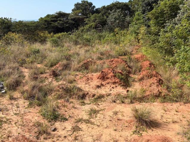 Vacant Land / Plot in Hibberdene For Sale
