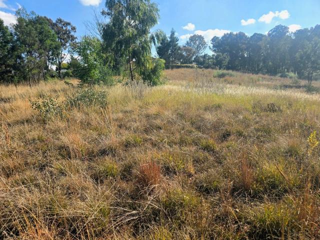 Vacant Land / Plot in Homestead Apple Orchards For Sale