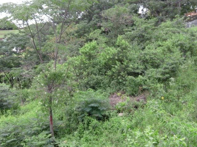 Vacant Land / Plot in Illovo Glen For Sale