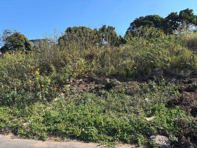 Vacant Land / Plot in Kwamakutha For Sale