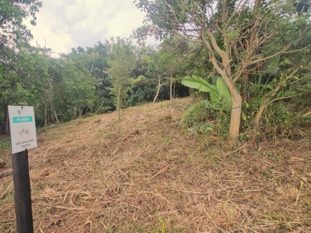 Vacant Land / Plot in Kelso For Sale