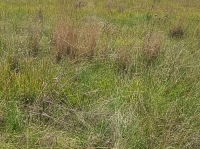 Vacant Land / Plot in Klipkop For Sale
