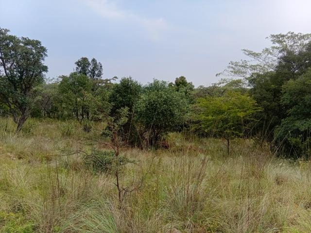 Vacant Land / Plot in Koro Creek Golf Estate For Sale