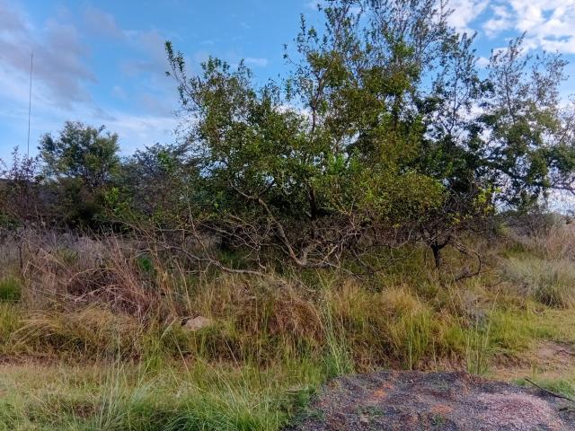Vacant Land / Plot in Koro Creek Golf Estate For Sale