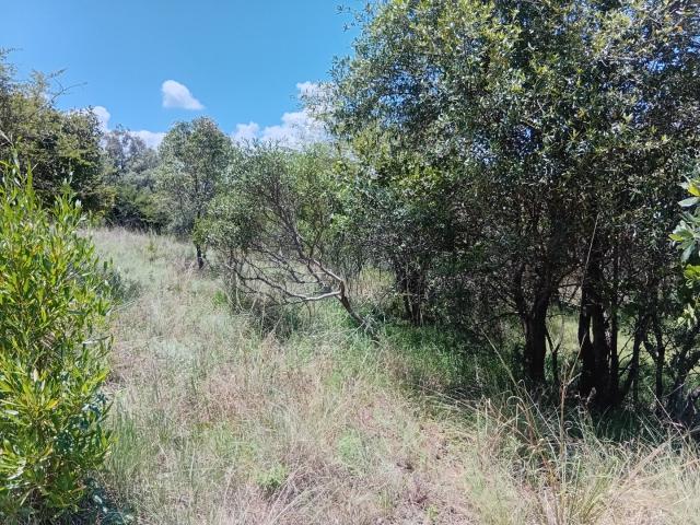 Vacant Land / Plot in Koro Creek Golf Estate For Sale