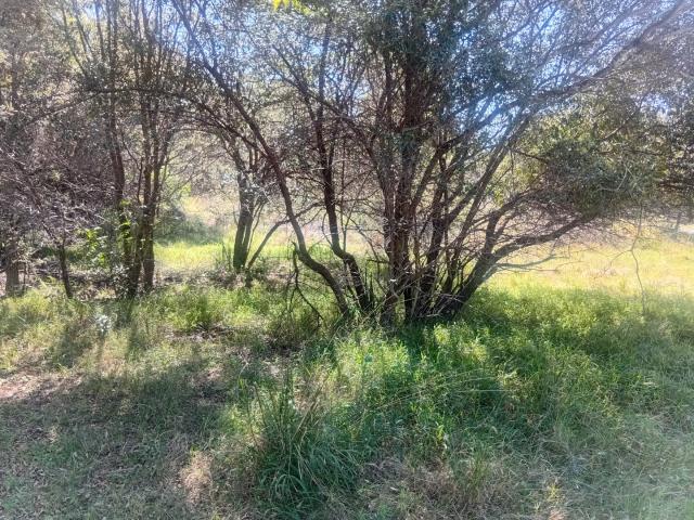 Vacant Land / Plot in Koro Creek Golf Estate For Sale