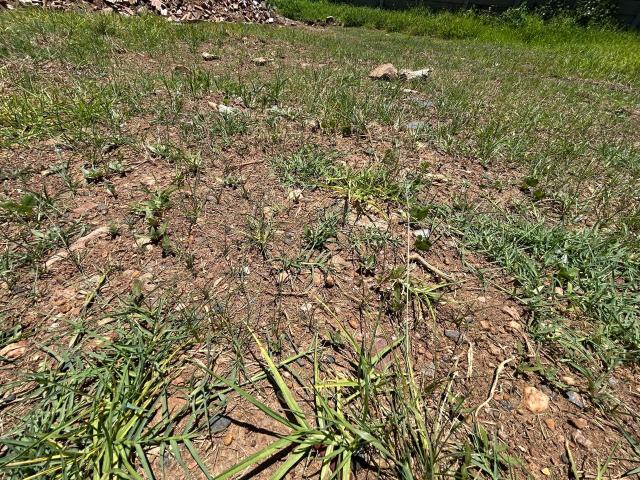 Vacant Land / Plot in Lydenburg For Sale