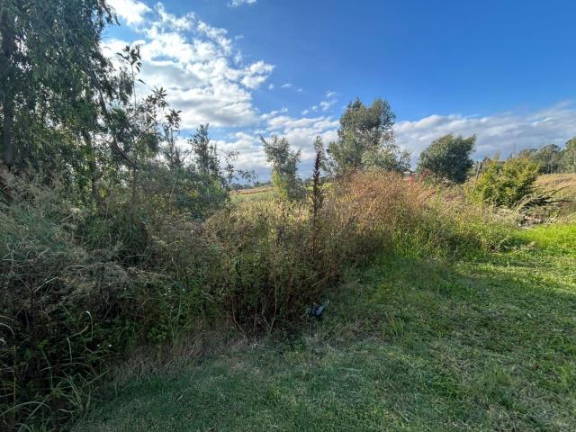 Vacant Land / Plot in Lydenburg For Sale