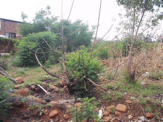 Vacant Land / Plot in Lydenburg For Sale