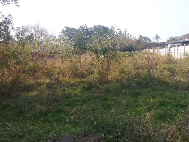 Vacant Land / Plot in Lynnfield Park For Sale