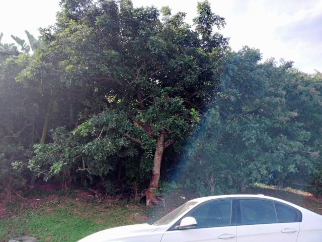 Vacant Land / Plot in La Mercy For Sale