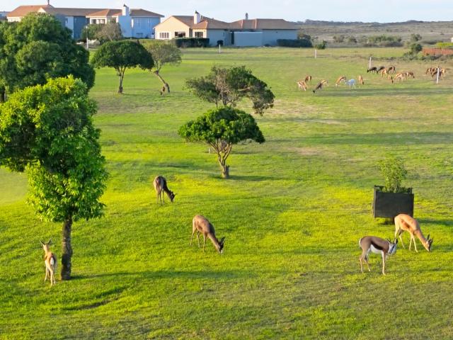 Vacant Land / Plot in Langebaan Country Estate For Sale