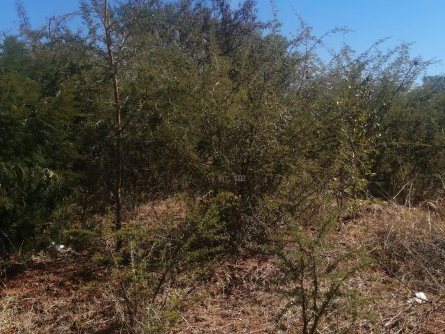 Vacant Land / Plot in Lebowakgomo For Sale