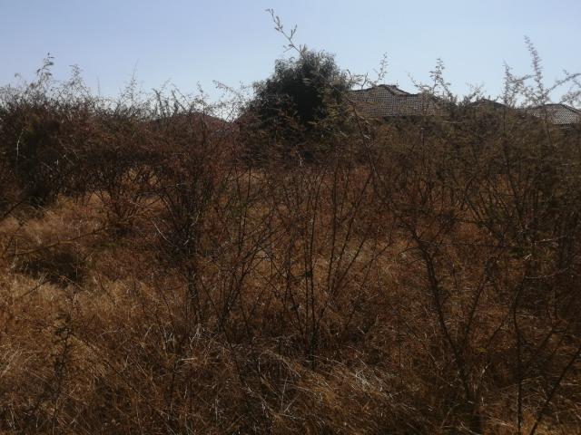 Vacant Land / Plot in Lebowakgomo Zone P For Sale