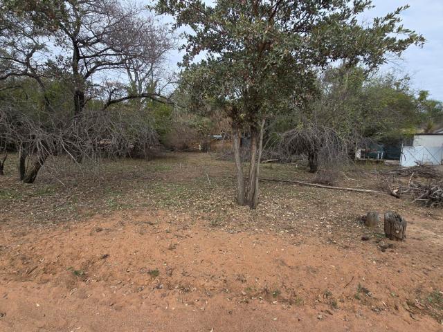 Vacant Land / Plot in Leeupoort For Sale