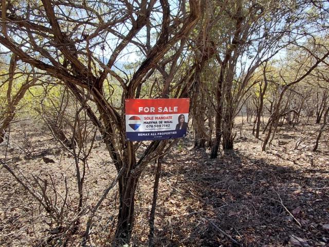 Vacant Land / Plot in Leeupoort For Sale
