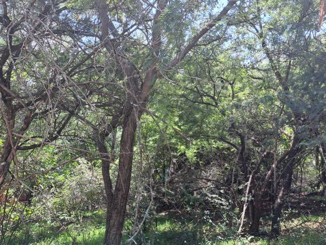 Vacant Land / Plot in Leeupoort For Sale