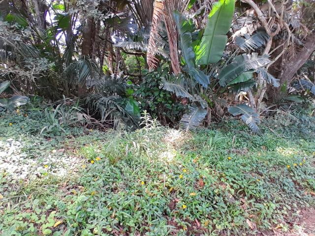 Vacant Land / Plot in Leisure Crest For Sale