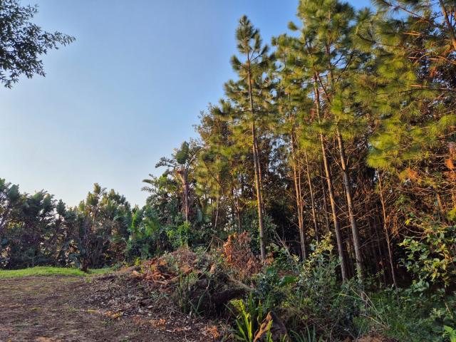 Vacant Land / Plot in Leisure Crest For Sale