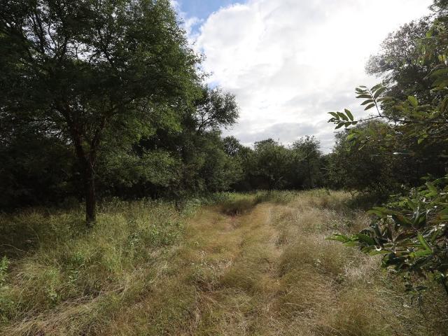 Vacant Land / Plot in Leopard Rock Nature Reserve For Sale
