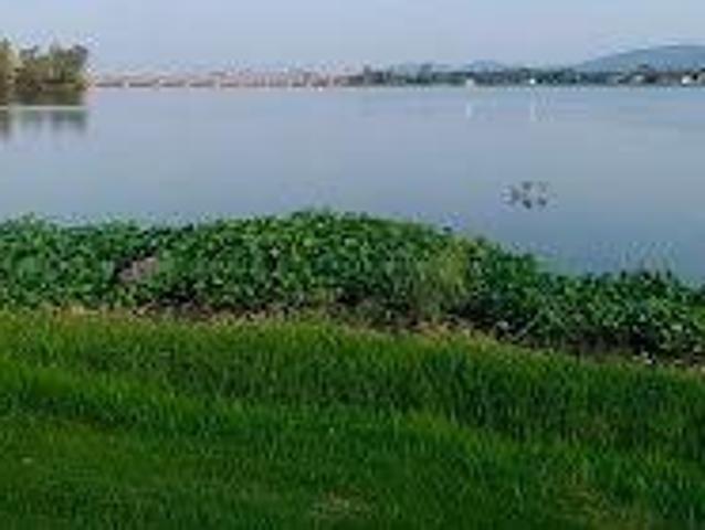 Vacant Land / Plot in Leloko Lifestyle & Eco Estate For Sale