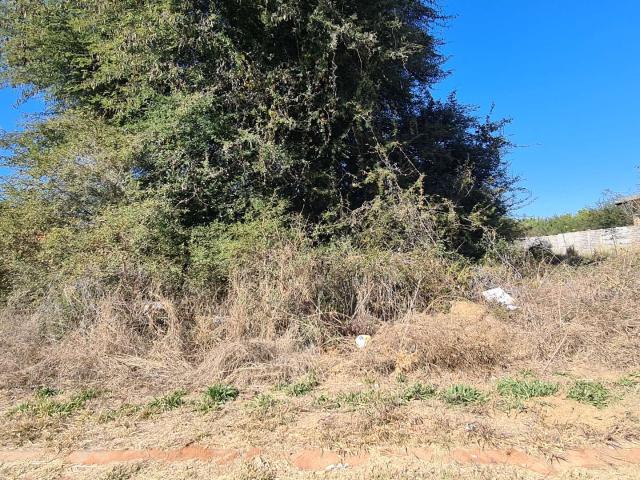 Vacant Land / Plot in Lephalale For Sale