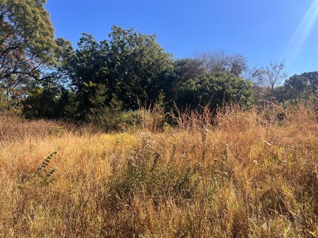 Vacant Land / Plot in Louis Trichardt For Sale